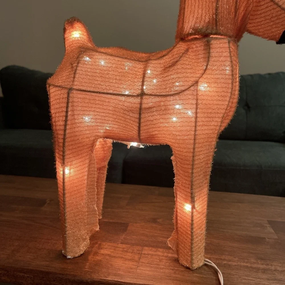 TARGET CHRISTMAS INDOOR OUTDOOR LIGHTED 21